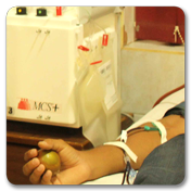 image from blood bank